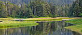 USA, Alaska. Panoramic of meadow at high tide in Tongass National Forest