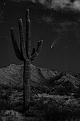USA, Arizona, Buckeye. Komet Neowise spuckt Schweif über White Tank Mountains und Wüste.