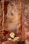 Arizona, Coconino National Forest, Palatki Heritage Site, Pictographs at Roasting Pit site