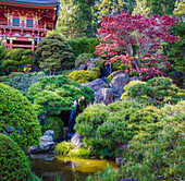 Pagode, Japanischer Teegarten, Golden Gate Park, San Francisco, Kalifornien, USA