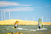 Usa, California, Rio Vista, Sacramento River Delta. Sailboarders with turbines of wind farm in background.