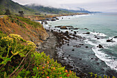 Fahrt auf der Route One entlang der nordkalifornischen Küste. Hügelige Küstenlinie mit zerklüfteten Felsen und Laubwerk.
