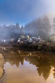 The sun breaking through the fog of a winter morning along the Russian River.