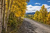 Ländliche Forststraße und goldene Espenbäume im Herbst, Uncompahgre National Forest, Colorado