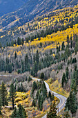 Straße entlang des Crystal River kurz unterhalb des McClure Pass, Colorado