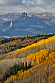 Colorado Rocky Mountains auf dem Ohio Pass und im Hintergrund der Castle Mountain Herbstfarben auf Aspen Groves