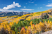 Usa, Colorado, Gunnison National Forest, Rocky Mountain Autumn (Large format sizes available)