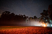 Eternal light, Night skies, RO Ranch Equestrian Park, Mayo, Florida