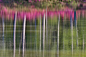Baumstämme und Azaleen spiegeln sich in einem ruhigen Teich, Callaway Gardens, Georgia