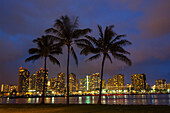USA, Hawaii, Honolulu, Palmen mit den nächtlichen Lichtern von Honolulu