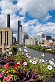 Skyline von Chicago und Fluss mit Blick nach Norden