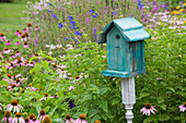 Blaues Vogelhaus im Blumengarten mit Purple Coneflowers und Salvias, Marion County, Illinois