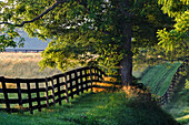 Farm fence at sunrise, Oldham County, Kentucky