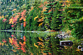 USA, Maine, Acadia National Park, Herbstreflexionen am Bubble Pond.
