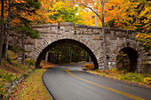 USA, Maine, Acadia National Park, Carriage road in Acadia National Park.