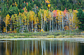 USA, Maine. Herbstreflexionen am Beaver Dam Pond im Acadia National Park.
