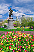 Tulpen und George-Washington-Statue im öffentlichen Garten von Boston, Boston, Massachusetts, USA