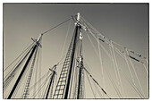 USA, Massachusetts, Cape Ann, Gloucester, America's Oldest Seaport, Gloucester Schooner Festival, schooner masts