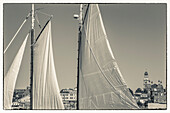 USA, Massachusetts, Cape Ann, Gloucester, America's Oldest Seaport, Gloucester Schooner Festival, schooner sails