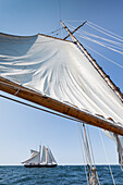USA, Massachusetts, Cape Ann, Gloucester, America's Oldest Seaport, Gloucester Schooner Festival, schooner sailing ships