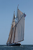 USA, Massachusetts, Cape Ann, Gloucester, America's Oldest Seaport, Gloucester Schooner Festival, schooner sailing ships