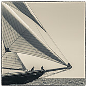 USA, New England, Massachusetts, Cape Ann, Gloucester, Gloucester Schooner Festival, schooner parade of sail.