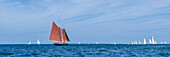 USA, New England, Massachusetts, Cape Ann, Gloucester, Gloucester Schooner Festival, schooner parade of sail