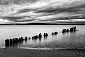 USA, Michigan, Upper Peninsula, Christmas, Old pilings on Furnace Bay