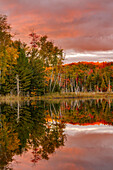 Red Jack Lake und Spiegelung bei Sonnenaufgang, Alger County, Obere Halbinsel von Michigan.