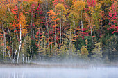 Herbstfarben und Nebel, die sich im Council Lake bei Sonnenaufgang spiegeln, Hiawatha National Forest, Obere Halbinsel von Michigan.