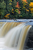 Tahquamenon Falls, Tahquamenon Falls State Park, Whitefish, Michigan, Obere Halbinsel