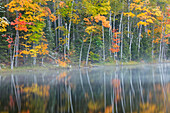 Herbst trifft Winter, Schnee auf Herbstfarben, Council Lake, Hiawatha National Forest, Obere Halbinsel von Michigan.
