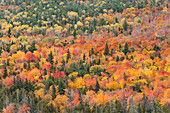 USA, Michigan. Herbstlaub vom Brockway Summit Drive auf der Keweenaw Peninsula aus gesehen.