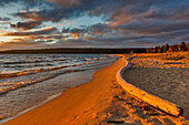 Dramatisches Licht bei Sonnenuntergang auf verwittertem Treibholz am Sand Point im Pictured Rocks National Lakeshore, Michigan, USA