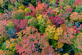 Aerial view of Hugoboom Lake in fall color, Alger County, Michigan.