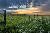 Strahlender Sonnenaufgang über Ranchland bei Ekalaka, Montana, USA (Großformat verfügbar)