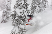 Snowboarding in powder at Whitefish Mountain Resort, Montana, USA (MR)