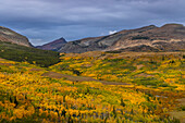 Herbstliche Espenhaine mit Red Mountain im Glacier National Park, Montana, USA