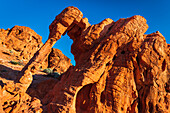 Morning light on Elephant Rock, Valley of Fire State Park, Nevada, USA.