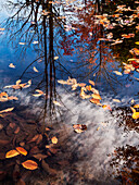 USA, New Hampshire, White Mountains, North Woodstock, Herbstreflexionen am Pemigewasset River