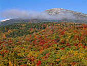 USA, New Hampshire, White Mountain National Forest, Fall colored hardwoods beneath Chandlers Ridge with summit of Mount Washington (upper left) in the clouds, Presidential Range (Large format sizes available)