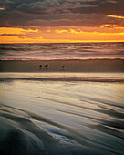 USA, New Jersey, Cape May Nationaler Meeresstrand. Bewölkter Sonnenuntergang am Meeresufer.
