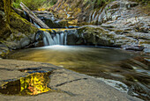 USA, Oregon, Florence. Waterfall in stream