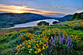 USA, Oregon. Blick auf den Lake Bonneville bei Sonnenaufgang