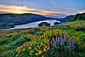 USA, Oregon. View of Lake Bonneville at sunrise