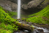 USA, Oregon, Columbia River Gorge. Latourell Falls Landschaft