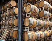 USA, Oregon, Elk Cove Winery. Oak storage barrels