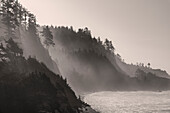 Seenebel steigt am Indian Beach im Ecola State Park in Cannon Beach, Oregon, USA, auf