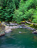 USA, Oregon, Willamette National Forest, Middle Santiam Wilderness, Deep, green pool on Middle Santiam River and surrounding lush vegetation.