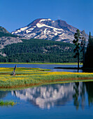USA, Oregon, Deschutes National Forest, Blättrige Arnika blüht auf einer Insel im Sparks Lake, während sich in der Ferne die South Sister erhebt.